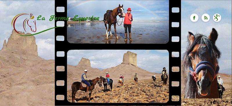 La-ferme-equestre-de-dar-bouazza-Ain-chock-hay-hassani